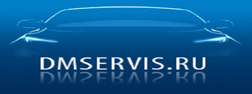 Логотип компании DMServis