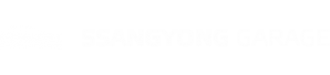 Логотип компании Ssangyong-Garage