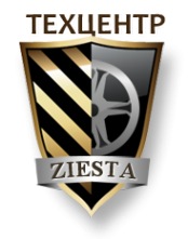 Логотип компании Зиеста