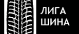 Логотип компании Shinybu.ru