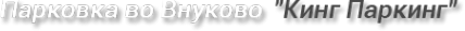 Логотип компании Парковка Внуково