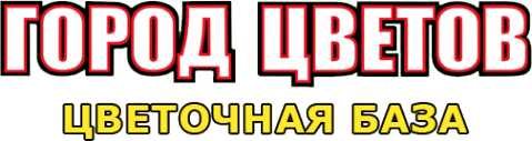 Логотип компании Город цветов