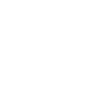 Логотип компании 69