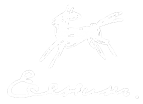 Логотип компании Есенин