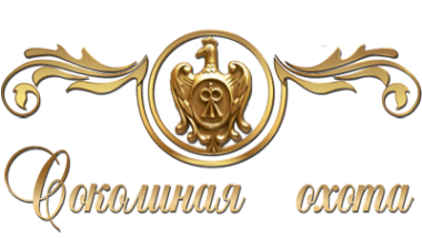 Логотип компании Соколиная охота