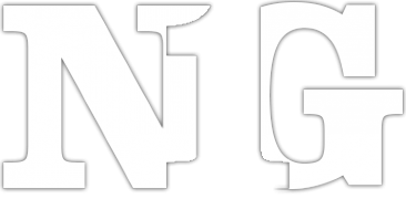 Логотип компании N1 Group