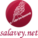 Логотип компании Salavey.net