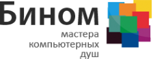 Логотип компании Бином