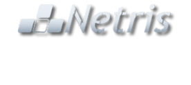 Логотип компании Нетрис
