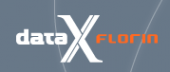 Логотип компании Дата икс/флорин