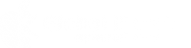 Логотип компании Global iService