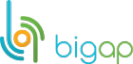 Логотип компании Bigap