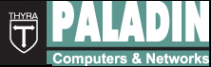Логотип компании Паладин-М