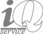Логотип компании 1С Франчайзи Интел-Сервис