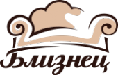 Логотип компании Близнец
