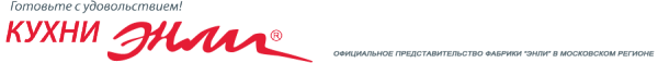 Логотип компании Энли