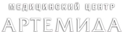 Логотип компании АРТЕМИДА