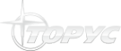 Логотип компании Торус Регион