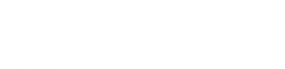 Логотип компании ОРИГИТЕЯ