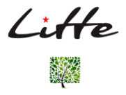 Логотип компании Litte