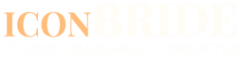 Логотип компании ICONBRIDE