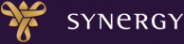 Логотип компании SYNERGY