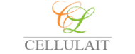 Логотип компании Целлюлайт