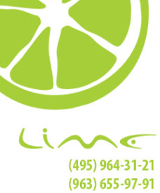 Логотип компании Beauty Lime