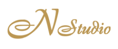 Логотип компании Nstudio