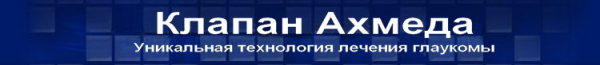 Логотип компании Визион Технолоджи