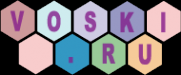 Логотип компании VOSKI.RU