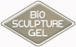Логотип компании Bio Sculpture Gel