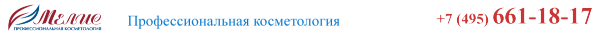 Логотип компании МЕЛИС