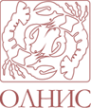 Логотип компании Группа Олнис