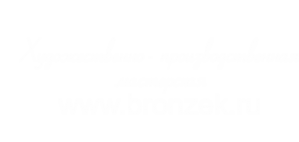 Логотип компании Бронзек