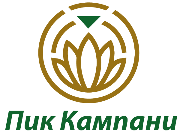 Логотип компании ПИК и Ко