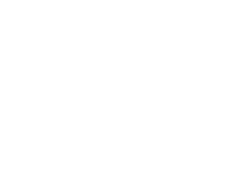Логотип компании Флориссима