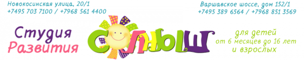 Логотип компании Солныш