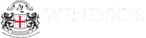Логотип компании Windsor