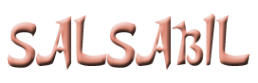 Логотип компании Salsabil