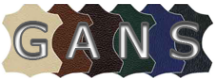 Логотип компании GANS