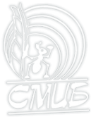 Логотип компании СМИ и Бизнес НП