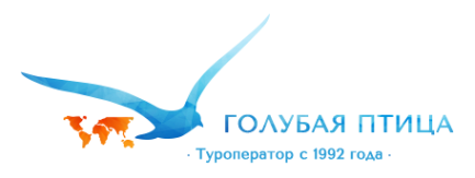 Логотип компании BLUE BIRD