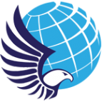 Логотип компании ВК Сокол