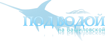 Логотип компании Охота & Рыбалка
