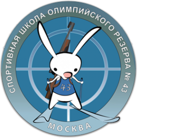 Логотип компании СШОР №43