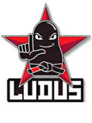 Логотип компании Ludus
