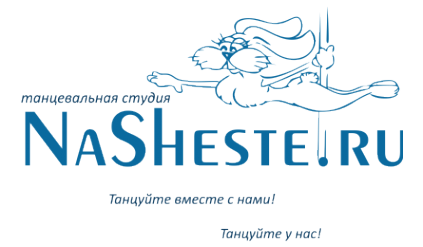 Логотип компании NaSheste