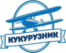 Логотип компании Школа начинающего парашютиста