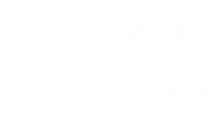Логотип компании Усадьба Деда Мороза